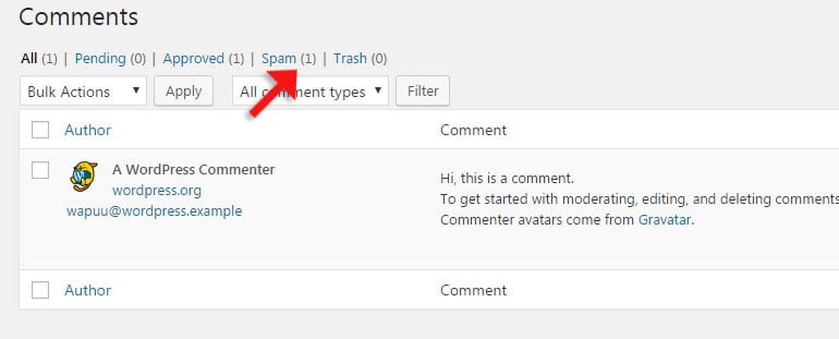 Find Spam Comments in WordPress