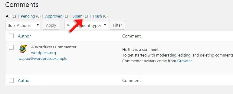 Find Spam Comments in WordPress