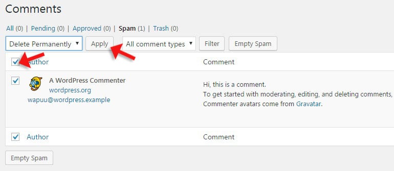 Delete Spam Comments in WordPress