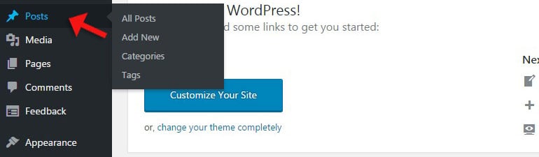 Find Posts in WordPress