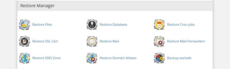 Offsite Backup Service with Restore Manager FastComet