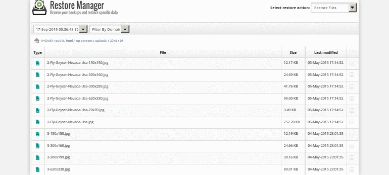 How to Restore from FastComet Offsite Backup Service