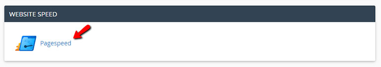 FastComet cPanel Google Pagespeed Feature