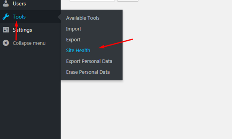 Go to Tools - Site Health in WordPress