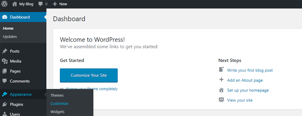 Go to Appearance Customize in WordPress Dashboard