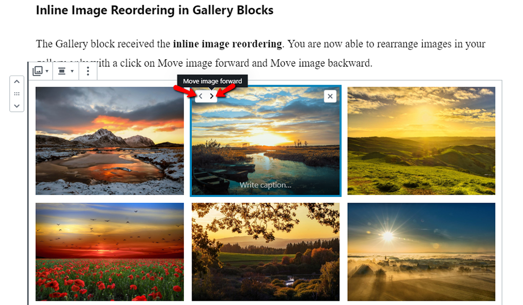 Inline Image Reordering for your Gallery Blocks