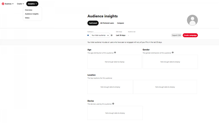 Business Pinterest Account - Audience Insights