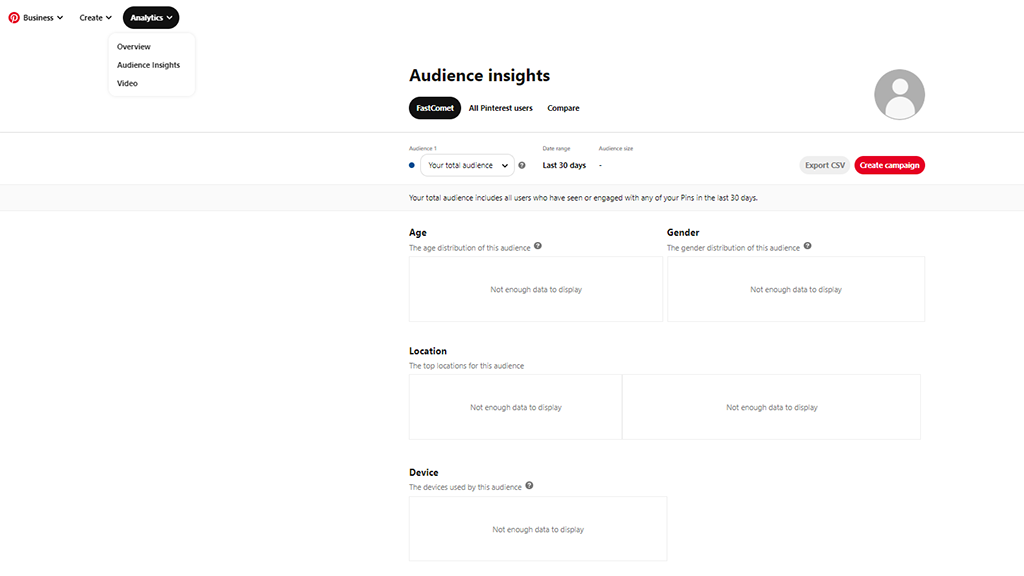 Business Pinterest Account - Audience Insights