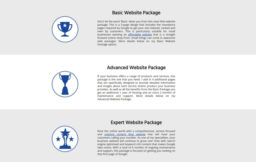 focused webdesigns available service packages