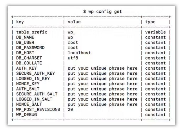 WP Config Get WP-CLI