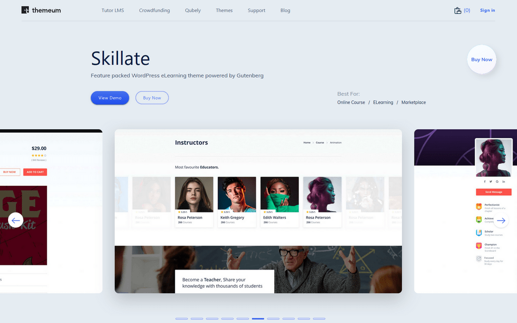 Skillate WordPress Theme