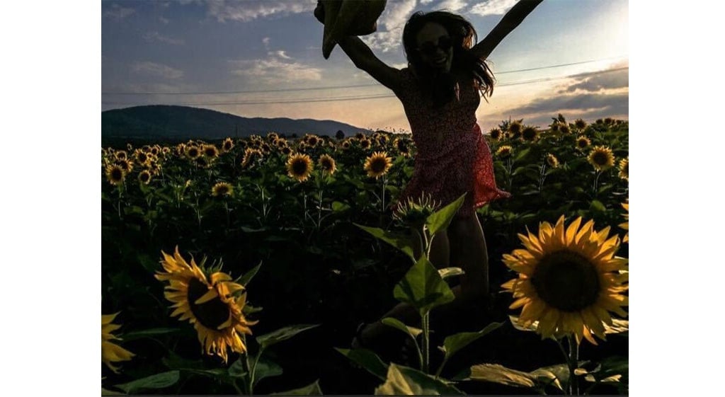 Having Fun in a Field of Sunflowers