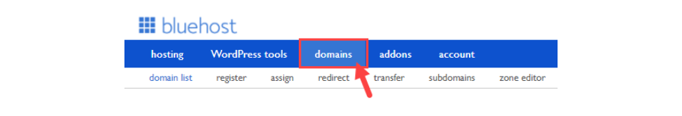Click the Domains Tab from the Navigation Menu