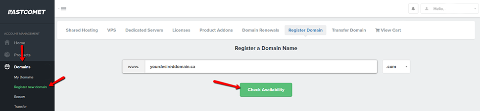 Check Availability for Desired Domain Name