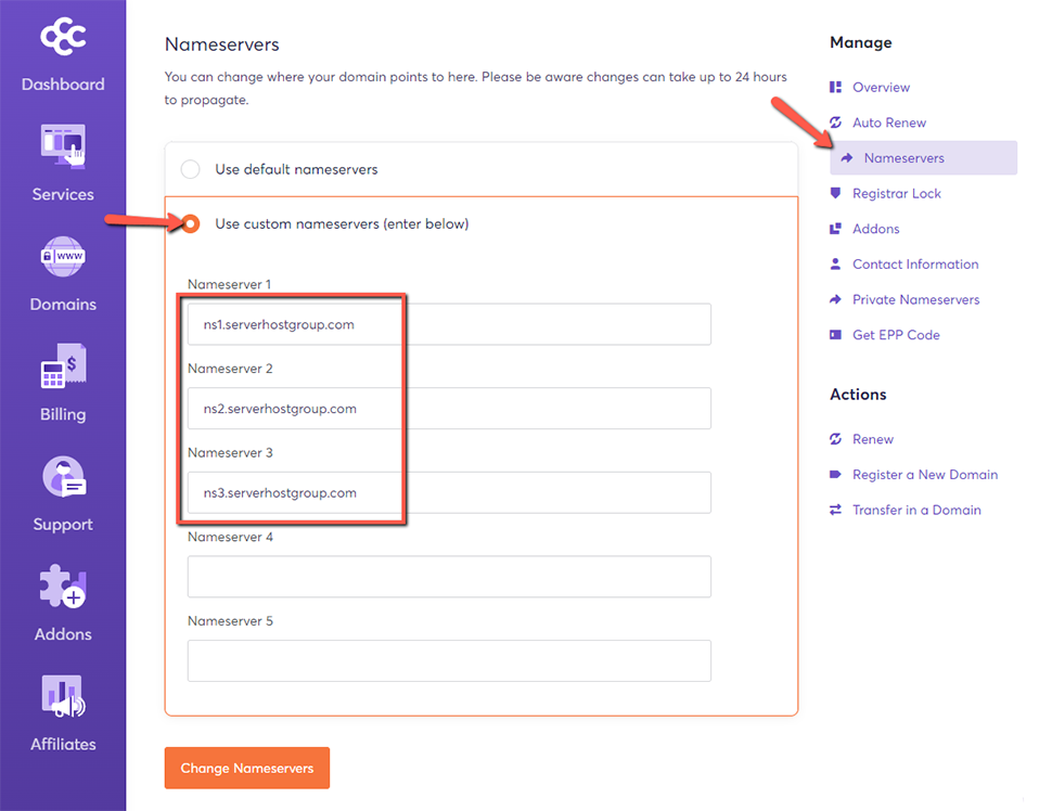 Chemicloud Change Nameservers