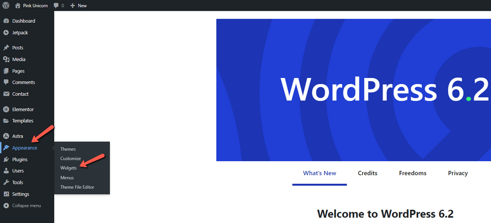 Access the WordPress Widgets Menu