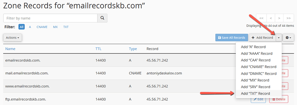 Add a New DNS TXT Record