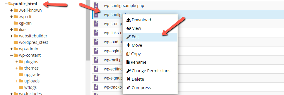 Edit wp-config File