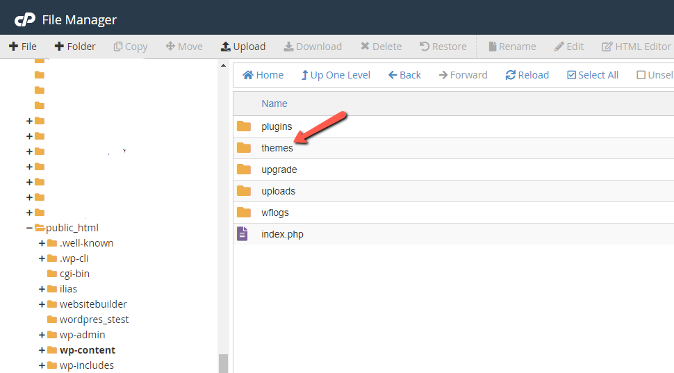 Find Themes Folder File Manager