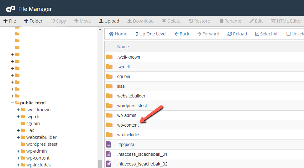 Find wp-content in File Manager