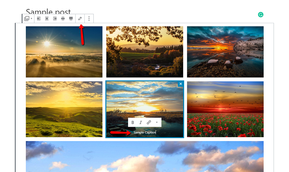 Add Captions in WordPress Gutenberg Gallery