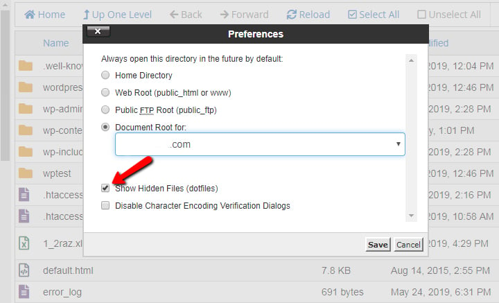 Check Show Hidden Files in cPanel