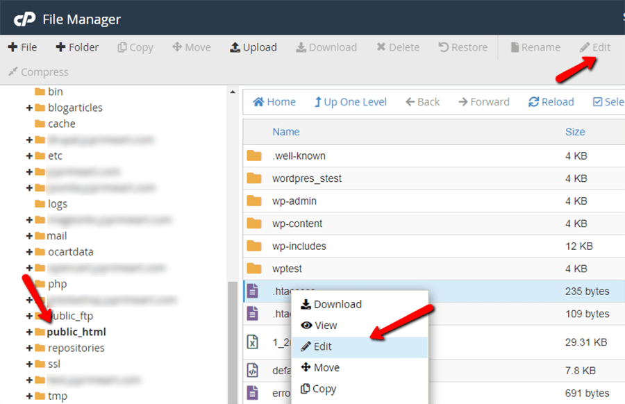 Edit .htaccess File for WordPress Site via File Manager