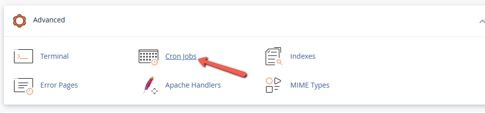 Find the Cron Jobs options in cPanel
