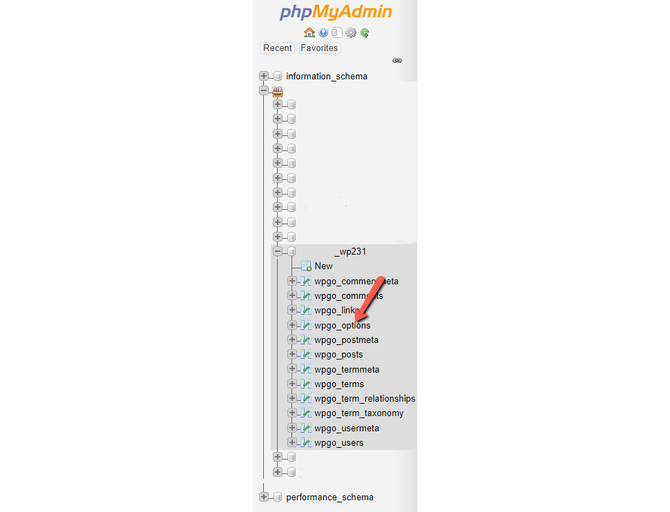 Find wp-options in phpMyAdmin