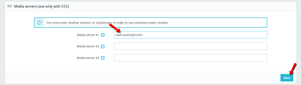 Input Static Domain in the Media Servers Section