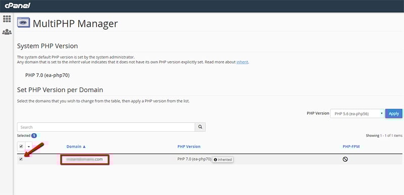 Select the Domain to Change PHP Version in VPS cPanel