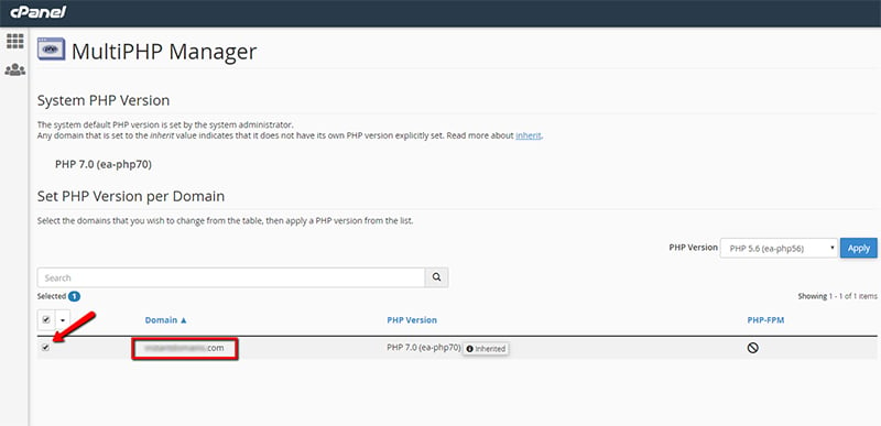Select the Domain to Change PHP Version in VPS cPanel