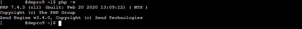 Terminal PHP Version Check Output