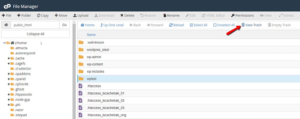 View Trash in cPanel File Manager