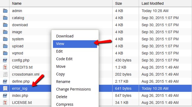 Viewing PHP Error Log in File Manager