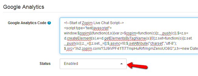 Pasting the Zopim Script in the Google Analytics field