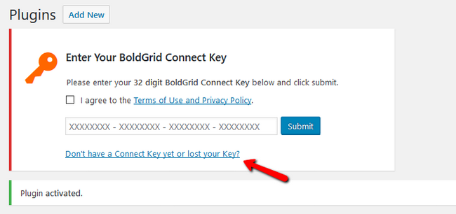 Prompting to enter your 32 digit BoldGrid Connect Key