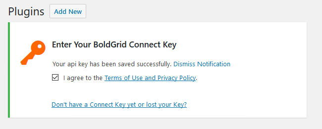 Successfully entering your BoldGrid Connect Key