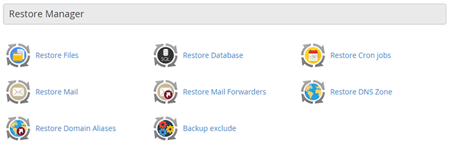 The restore manager group