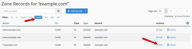 Filter and Edit DNS Records for a particular Domain