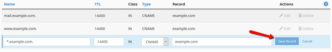 Save Changes to a DNS Record after editing it in cPanel