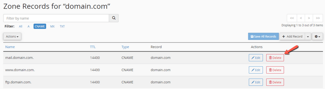 Delete a DNS Record via the Zone Editor Tool