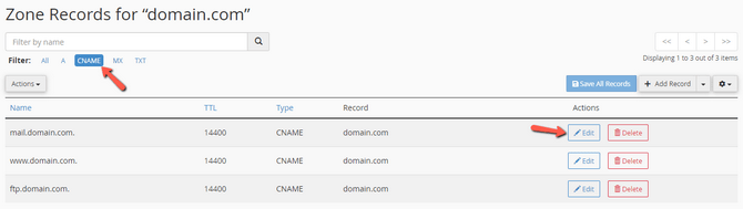 Filter and Edit DNS Records for a particular Domain