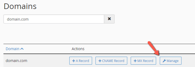 Manage a Domain DNS Zone via cPanel