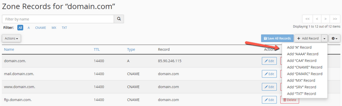 Create a DNS Record by Type via cPanel's Zone Editor