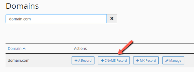 Create a DNS Record quickly via the cPanel Zone Editor