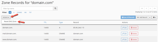 Reset a Domain DNS Zone via cPanel