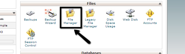 Access File Manager via cPanel