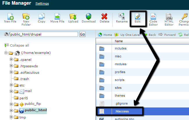 Edit a file via File Manager in cPanel