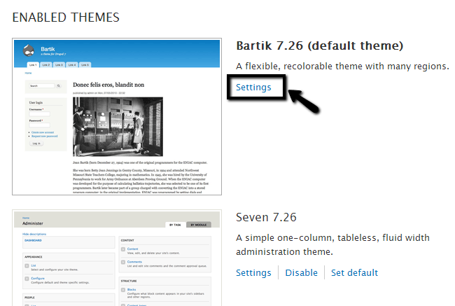 Check theme settings in Drupal